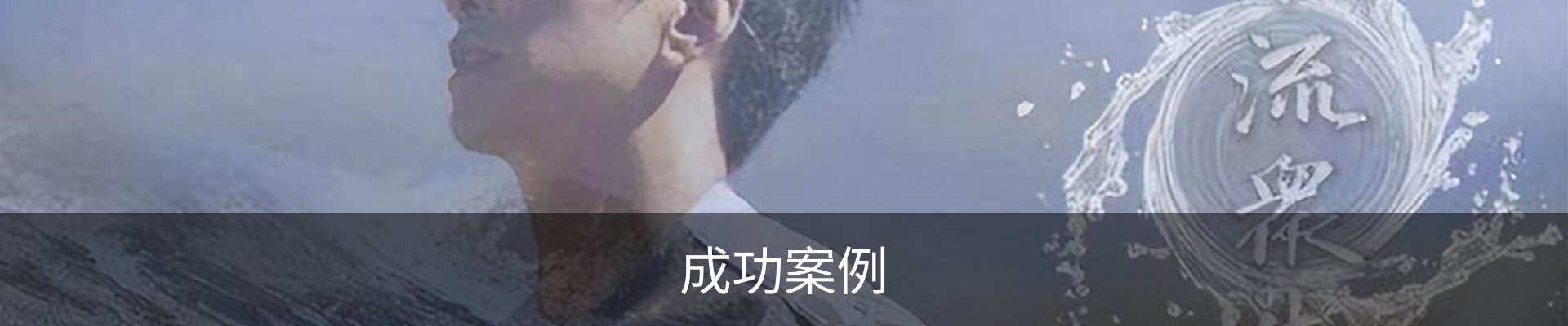 成功案例